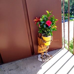 Meet your Posher, Carol